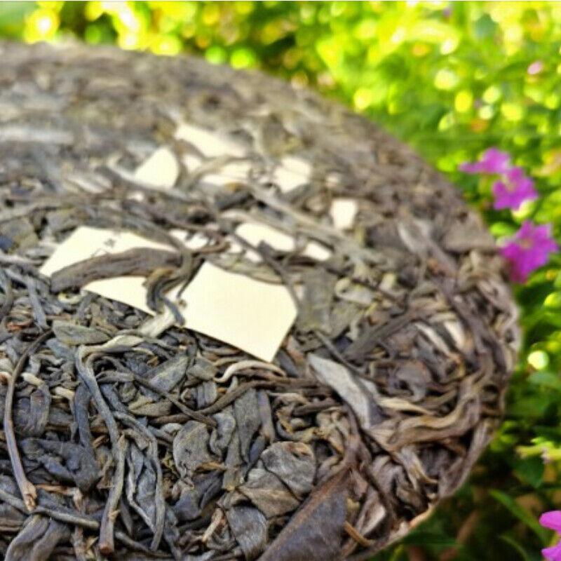 357 г Чай Пуэр с древним деревом Сигуй — фото 6