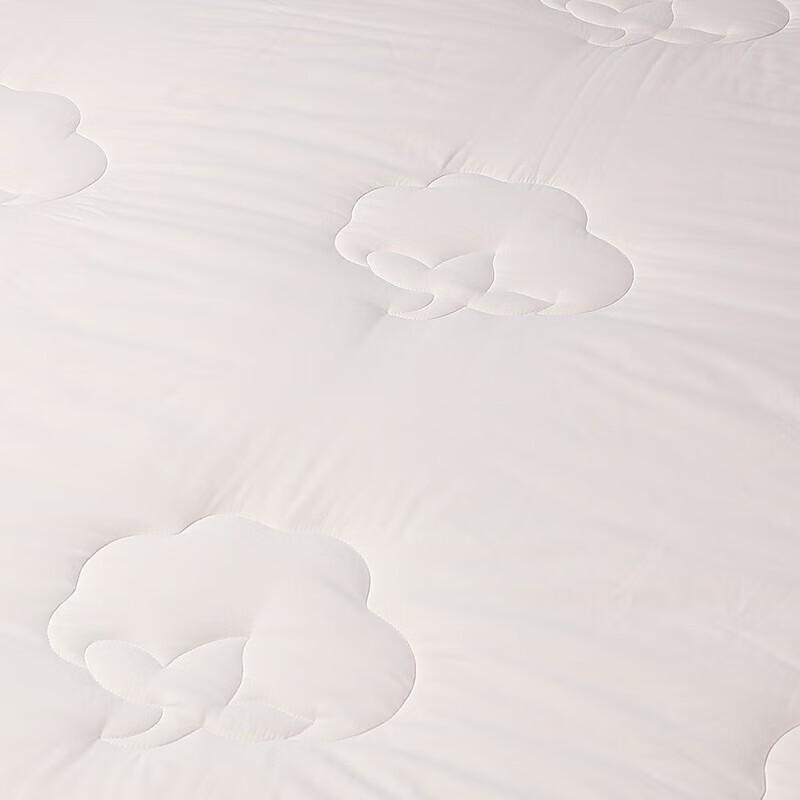 Fuanna 100% Pure Xinjiang Cotton Thick Winter Quilt