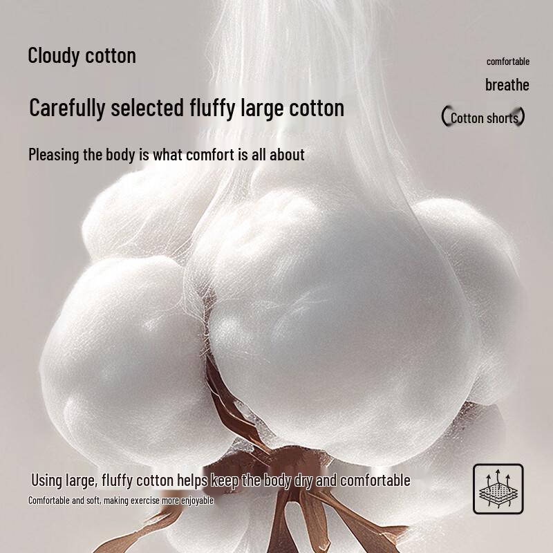 JEEP Men's Pure Cotton Summer Sport Shorts