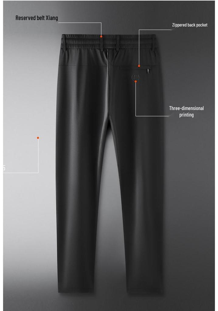 Men's Summer Ice Silk Quick-Dry Elastic Waist Casual Pants