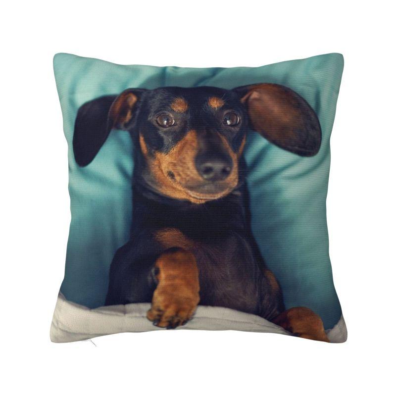 Dachshund Cushion Cover  cm Soft Sausage Badger Wiener Dog Throw Pillow Case Bedroom Decoration Bedding Sofa Pillowslip