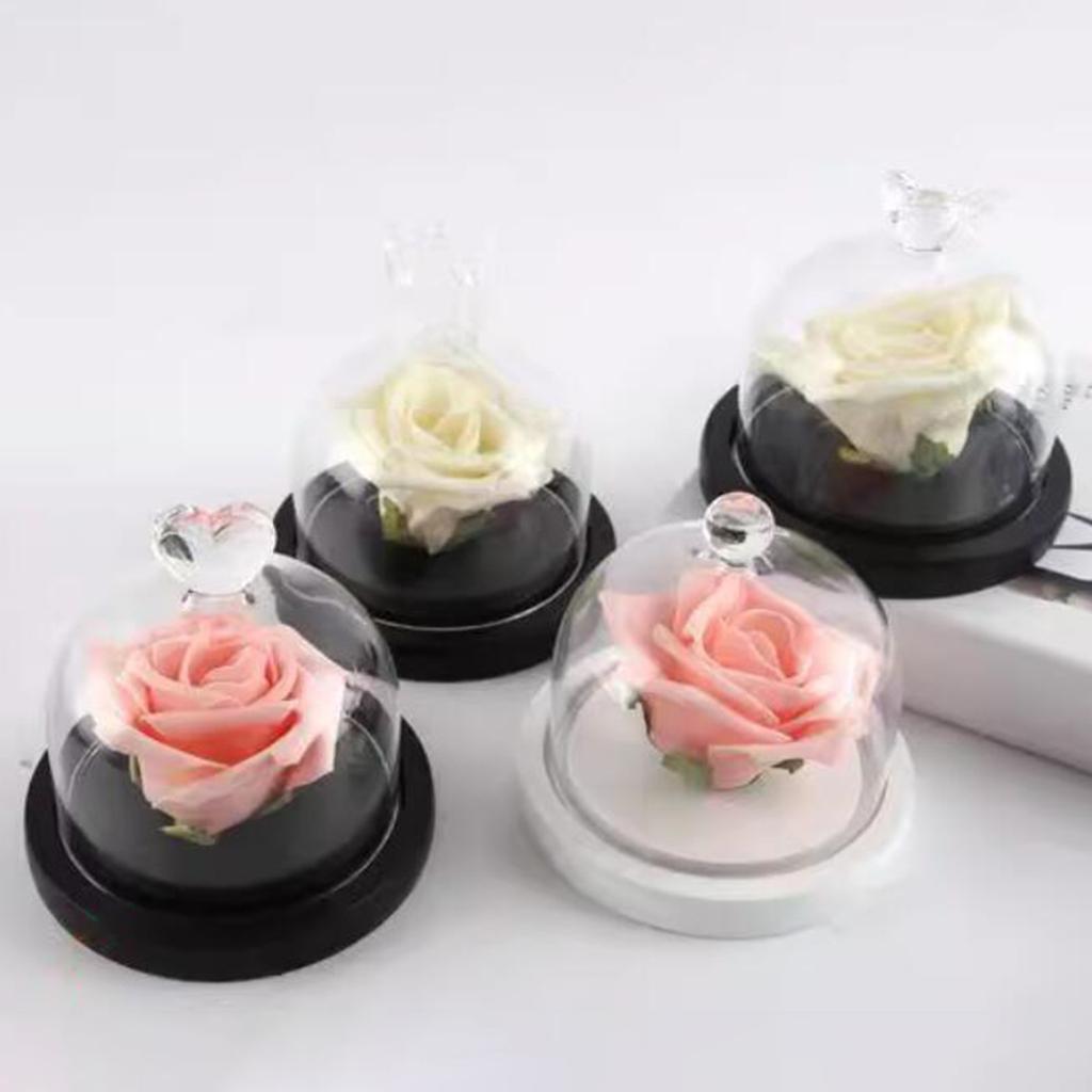 Display Dome with Base DIY Valentine's Day Decoration Crafts Jar Glass Cover Dustproof Clear Dome with Wood Base Stand Case