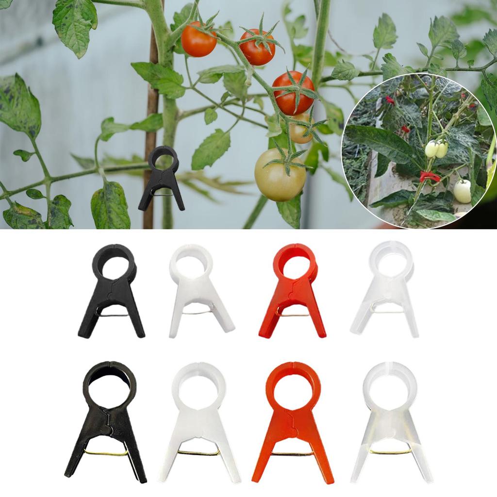100 Pieces Plant Support Clips Cucumber Grow Upright Trellis Clips Flower Plant Clamps Flower Vine Stem Clips for Roses