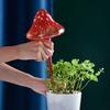 Glass Plant Self-Watering Bulb Automatic Drip Irrigation Planter Insert Potted Plant Garden Mushroom Watering Globes Device