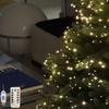 USB Dark Green LED Firecracker Light with 8 Flashing Modes for Decorating Christmas Trees, Ceilings Bedrooms, Windows