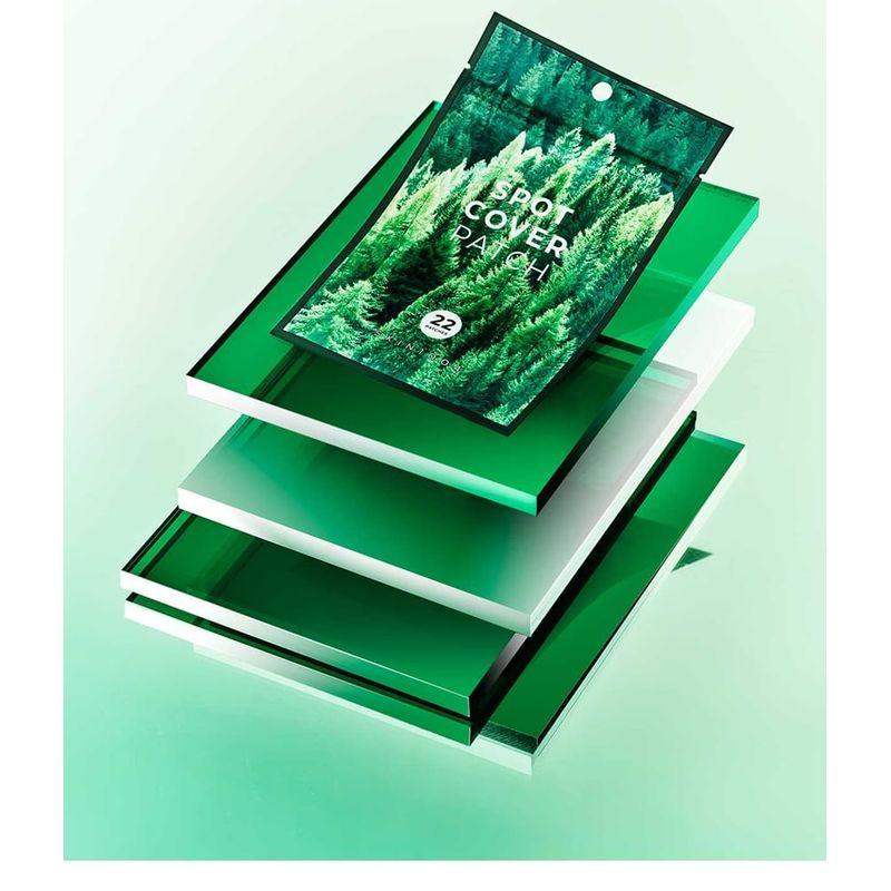 SKIN 1004 - Spot Cover Patch