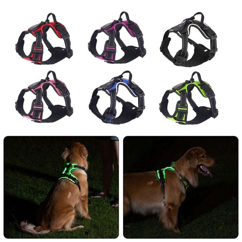 Mode Hunde Geschirr Leine Verstellbare Länge Haustier Brust Rücken LED Hunde Weste mit Robuster Schnalle für Haustier Outdoor Spaziergänge