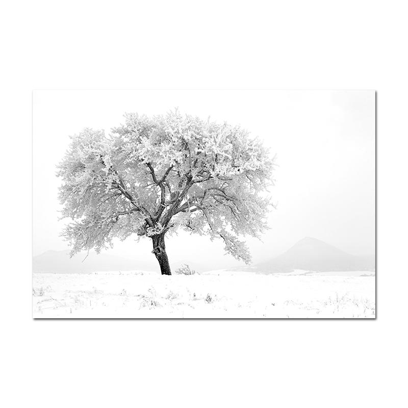 Minimalist Black White Modern Photo Wall Art Canvas Print Poster Winter Nature Sight Picture for Living Room Home Decor Cuadros