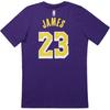 Jordan X NBA Lakers James 23 Number Letter Round Neck Short Sleeve T-Shirt Kids T-Shirts Dark-Violet 3Y2B7BCJS-LAKJL