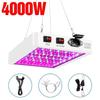 Latest 4000/5000W full spectrum LED grow light IP65 plant light hydroponic light greenhouse light flower growth light lighting