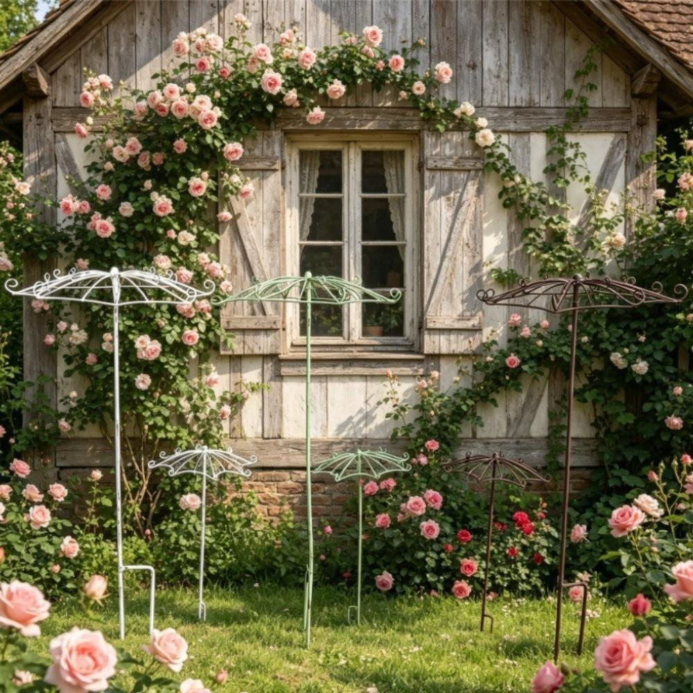 Hollow Out Plant Climbing Frame Umbrella Shape Trellis Flower Rack Courtyard Decor
