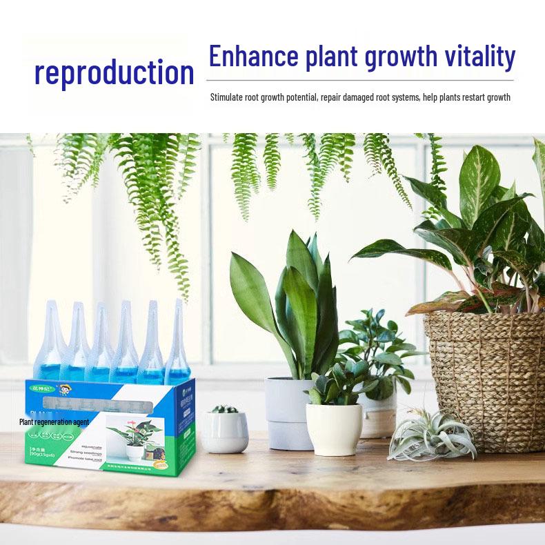 Roztwór Odżywczy do Roślin Zielonych - Nawóz Rozpuszczalny w Wodzie do Kwiatów i Roślin Doniczkowych