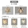 TAGIYOON Pendant Nordic Modern Compatible with Both Track Lighting and Hook Ceiling Single Showa Suitable for Dining Bedroom Star-Shaped Light, Style,