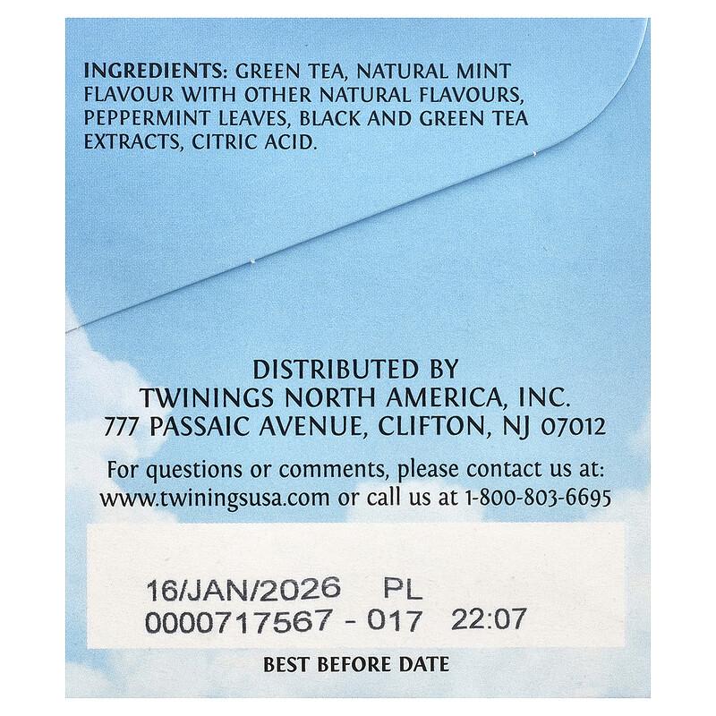 Cold Brewed Iced Tea, Green Tea, Mint, Unsweetened, 20 Single Serve Tea Bags, 1.41 Oz (40 G)