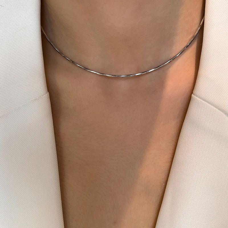 

and American Minimalist Gold and Silver Pigment Chain Snake Bone Necklace Women Accessories Light Luxury High-Grade Double Layer Twin Choker Necklace Silver