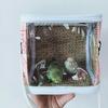 Multi Sized Pet Outdoor Bag Portable and Detachable Parrot Phoenix Hamster Flying Kangaroo Guinea Pig Birdcage Pet Bag