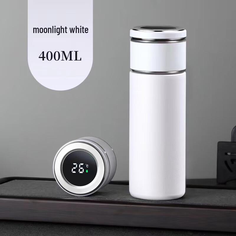 Dingle Stainless Steel LED Temperature Display Thermos