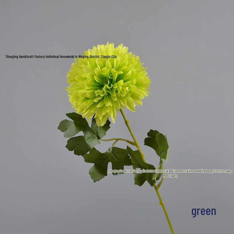 Green Onion Ball Single Stem Chrysanthemum Gift Box Bouquet and Floor Stand Accessories