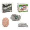Dinosaur Fossil Excavation Kit: Handmade DIY Treasure Skeleton Assembly Archaeology Toy