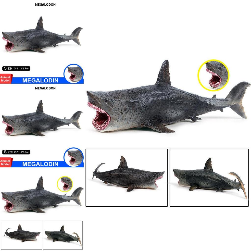 Premium Megalodon Figure Ancient Shark Wild Animal Pvc Model Toy For Collectors