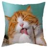 Office Living Room Home Pillowcase Cute Little Lazy Cat Pattern Pillowcase Car Ornaments
