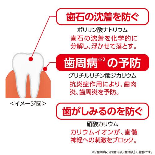 JEX Lacresh EX Medicated Toothpaste Gel with L8020 Lactic Acid Bacteria, 80g x 3 Bottles, Apple Mint Flavor, Hypoallergenic