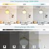 Nordic Led Ceiling Fan Light  Modern Minimalist Durable 6 Blades 30W Remote Silent Cool Wind Household Living Room Dining Room