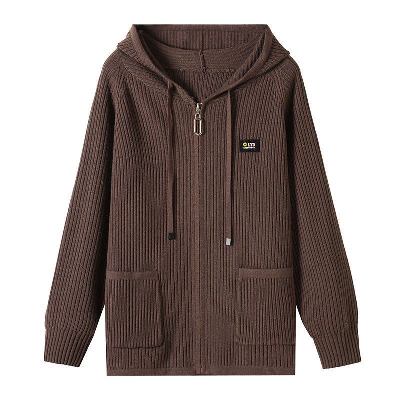 Spring and Autumn Hooded Knitted Cardigan Women's Zipper Hooded Sweater Jacket Top