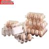 Disposable Transparent PET Egg Cartons
