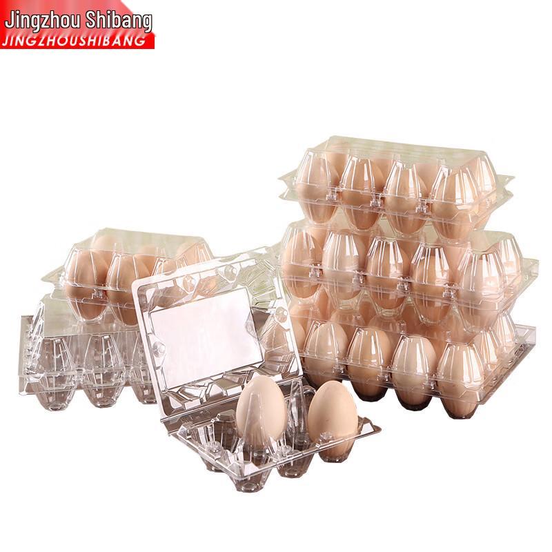 Disposable Transparent PET Egg Cartons