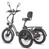 FAFREES F20 Mate Electric Tricycle 48V 23.45Ah Battery 500W 20 Inch Tires With Mirror And Rear Basket