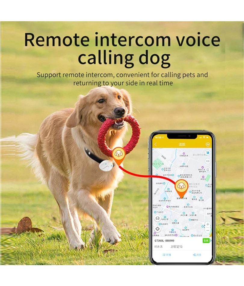 4G SIM-Karte Haustier-Tracker Echtzeit Haustier Katze Hund GPS-Tracking Halsbänder Intelligenter Haustier-Aktivitätsmonitor Tracking-Gerät