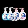 Walch Foaming Hand Wash Combo