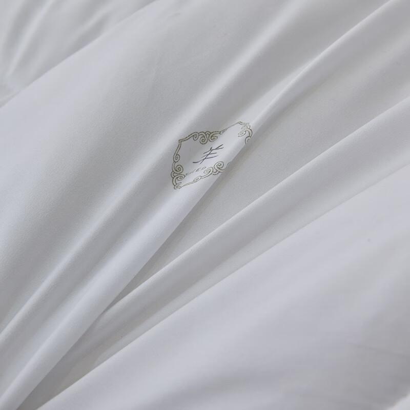 Muji Winter Polyester Quilt