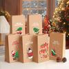 12PC Packing Supplies Holiday Christmas Gift Bags Cookie With 12PC Stickers Gifts Cartoon Printed Candy Packaging Pocket Party