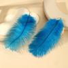 Ethnic Style Long Feather Earrings, Travel Photo Accessories, Stage Catwalk Performance Feather Accessories