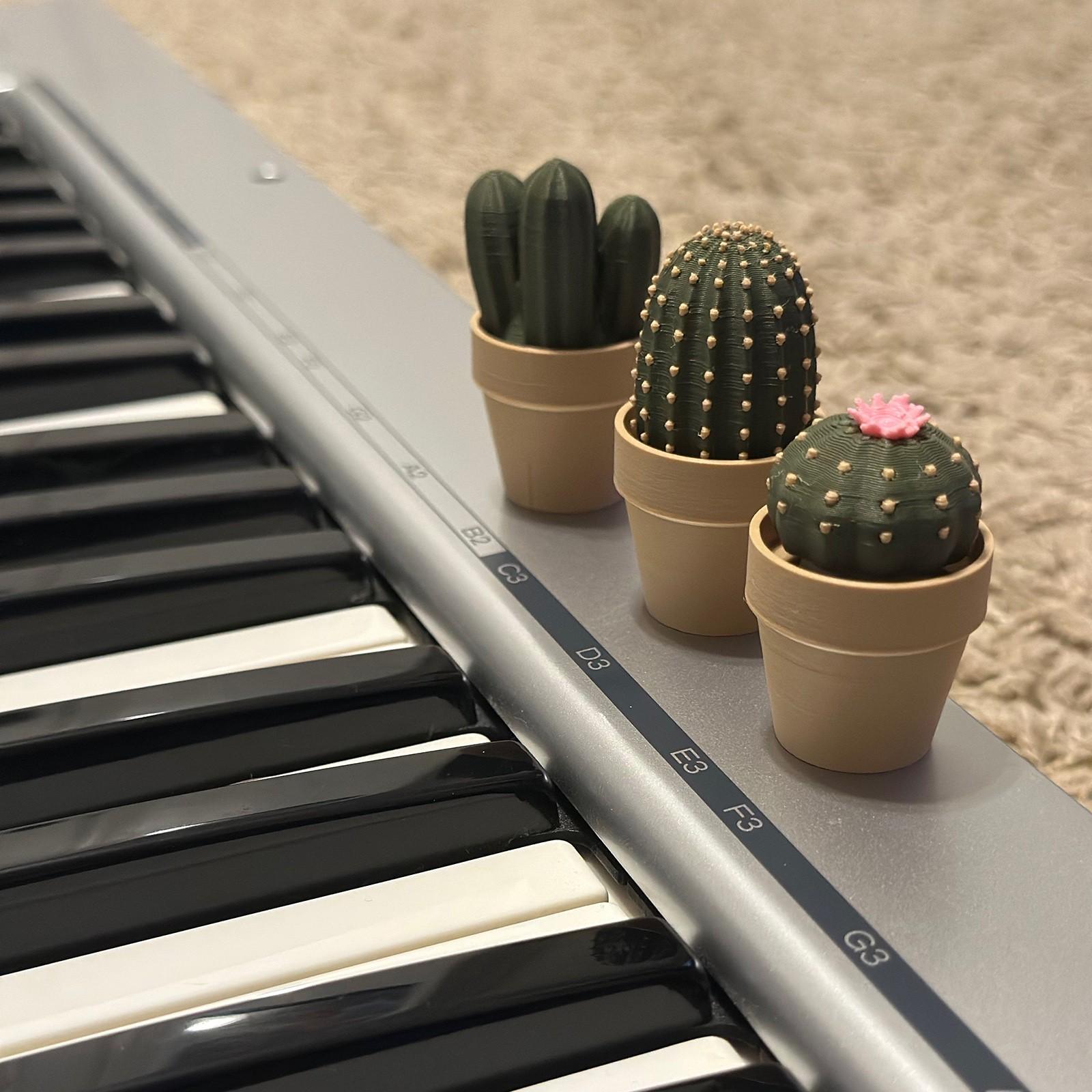 

3D-печать Моделирование Зеленое растение Горшечный кактус Декомпрессионные игрушки Украшения Украшения для дома One Size