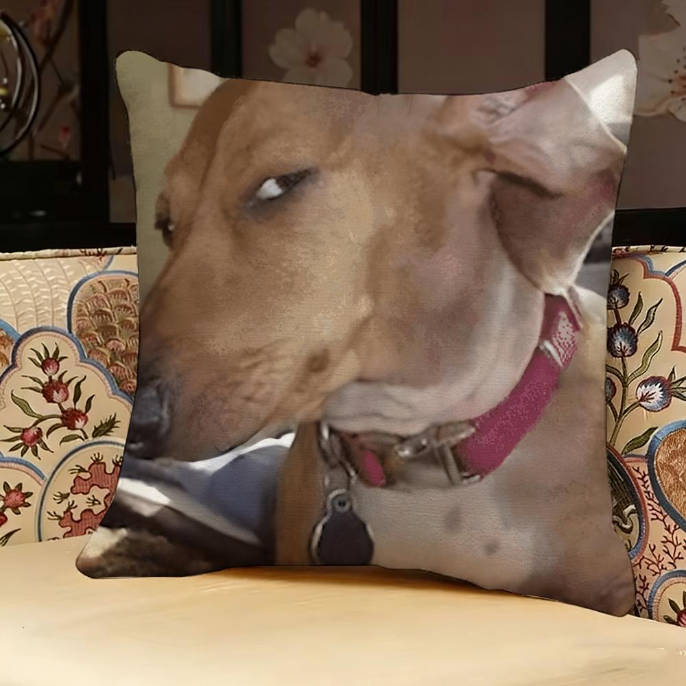 Dog Funny MEME Pillow Case Pillowcase Doublesided Printed Sofa Cushion Bedroom Headboard Pillow