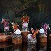Dragon Egg Resin Ornament with LED Light Halloween Home Decoration Fly Dragon Night Light Sculpture Desk Accessories