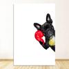 Nordic Style Boxing Dog Canvas No Frame Art Print Painting Poster Funny Cartoon Animal Wall Pictures For Kids Room Decoration