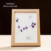 1pc Crystal Tumbled Stone Zodiac Sun Small Stone Photo Frame Crystal Constellation Symbol Jewelry Making Loose Stones Home Decor