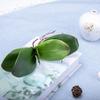 Fnize Orchid Leaves Artificial Phalaenopsis Stems Leaf Faux Cymbidium Flower Foliage Green Real Touch Latex Bulk 8 Inches 2pcs