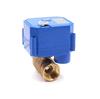 CWX-25S 2-Wege Motorventil Messing Ss304 Mini Elektrischer Aktuator Wasserregelventil 3V 5V 6V 12V 24V 110V 220V DN15 DN20 DN25