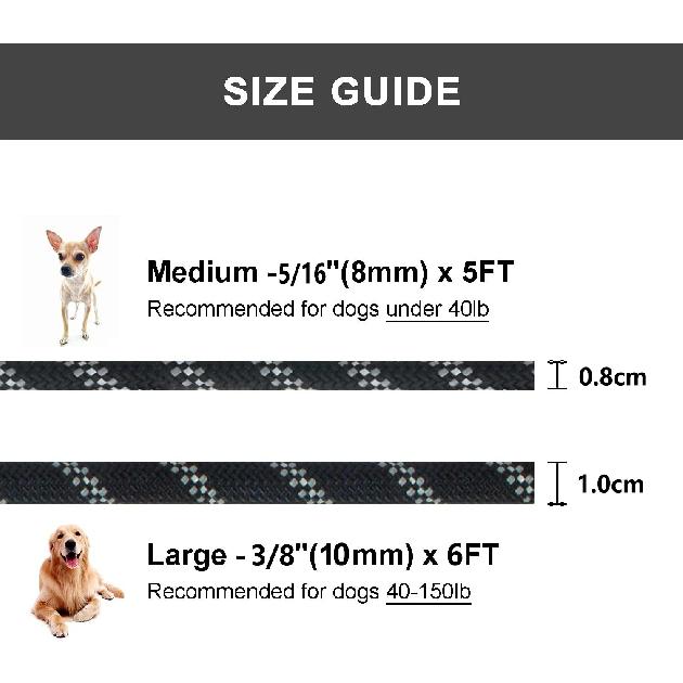 All-in-one Design Dog Leash Collar Set for Small Medium Dogs, Durable Braided Rope Slip Lead Pet Training Leash