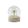 Floral Glow Garden Dome – 1 Dandilion- LED Battery