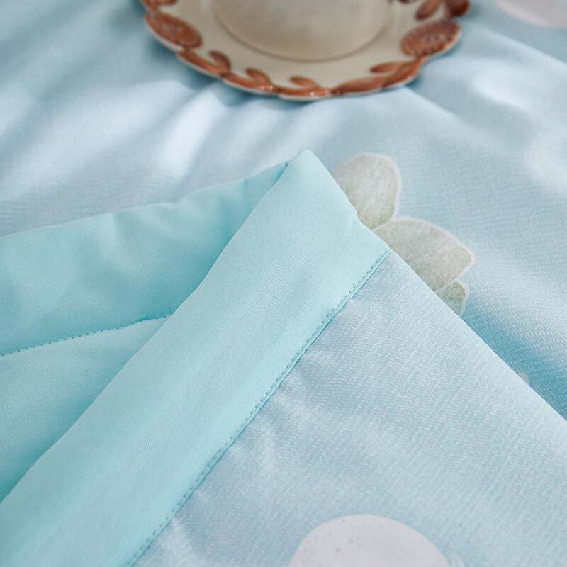 Bijiaman BGM-B2507 Cloud-Soft Floral Scent Soybean Quilt