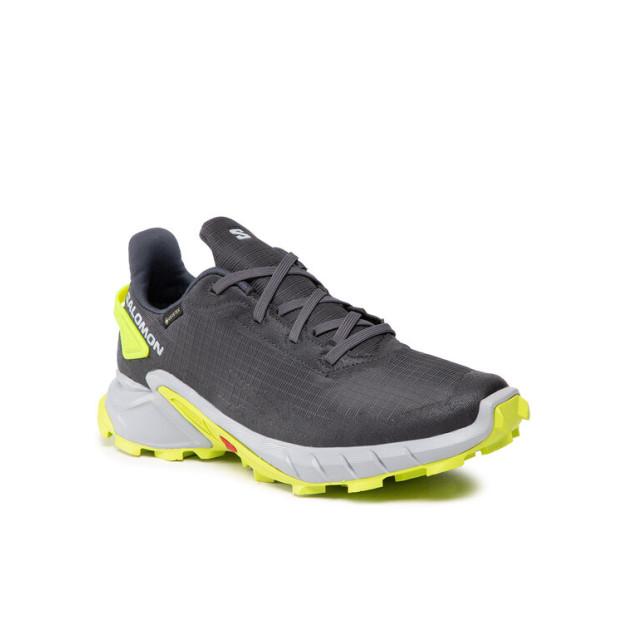 

Обувь для бега Salomon Alphacross 4 Gtx GORE-TEX 470667 26 V0 Szary