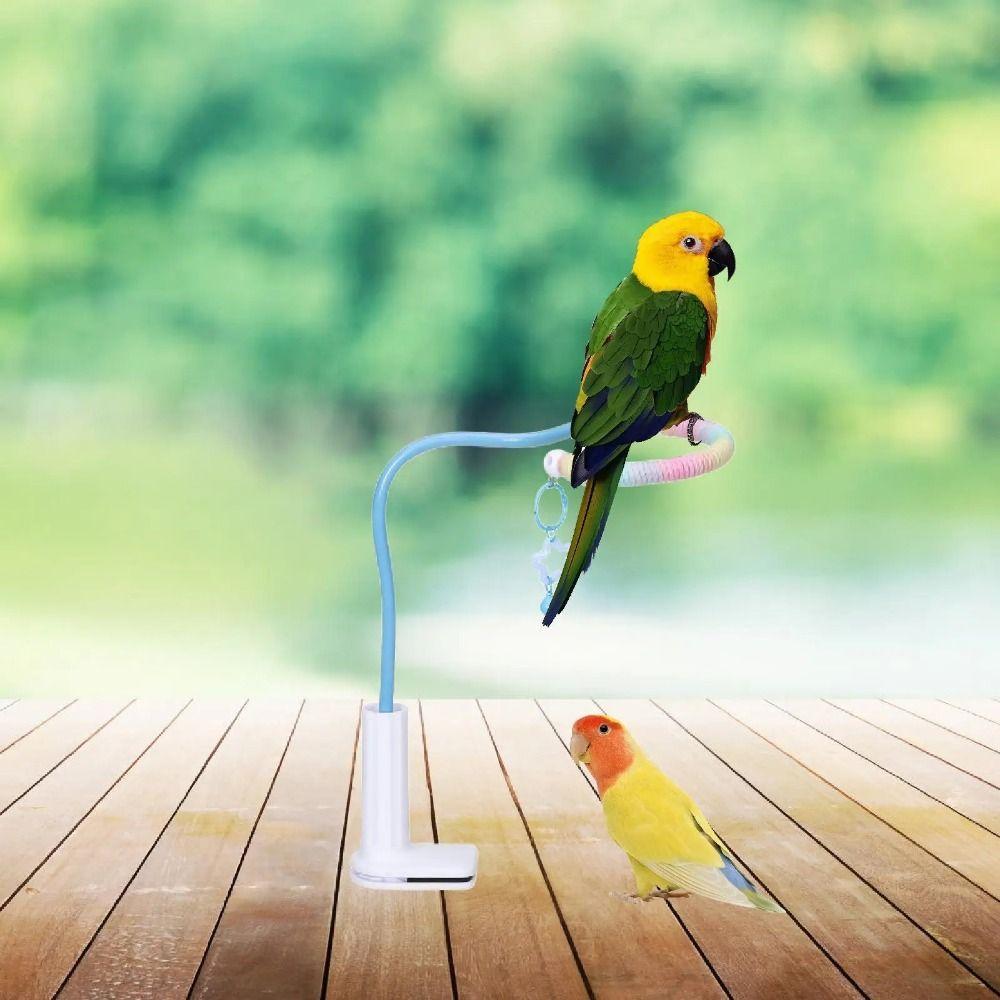 Stable Bird Training Perch Non-Slip Parrot Standing Pole Tabletop Parrot Biting Rod  Small Birds