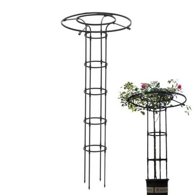 90/120/150cm Climbing Rose Arch Rustproof DIY Assemble Plant Frame Sturdy Decorative Climbing Plant Support