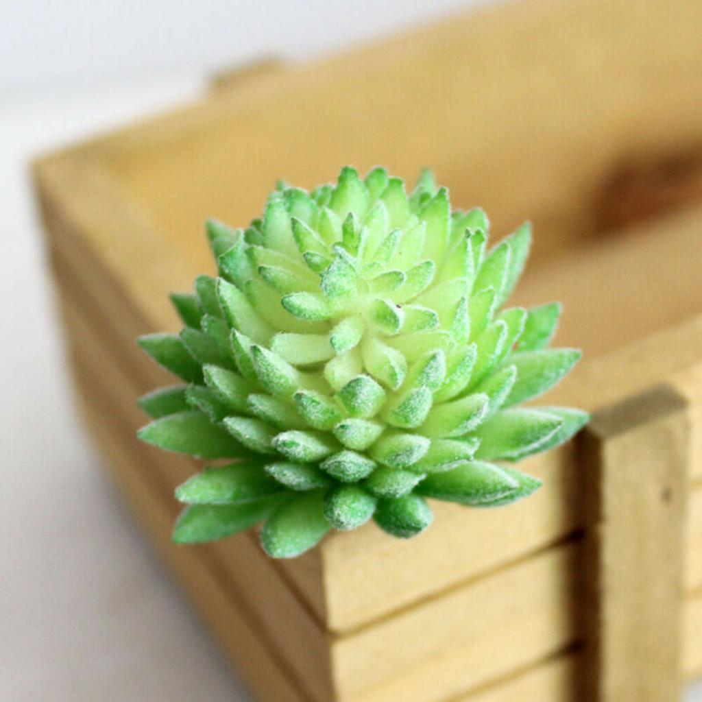 5pcs Mini Artificial Succulents Plant Fake Cactus Garden Home Office Decor Sets
